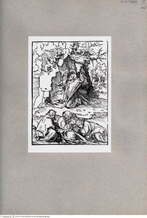 Vorderseite von  [http://creativecommons.org/publicdomain/mark/1.0/] ... - , bh163161. Foto.