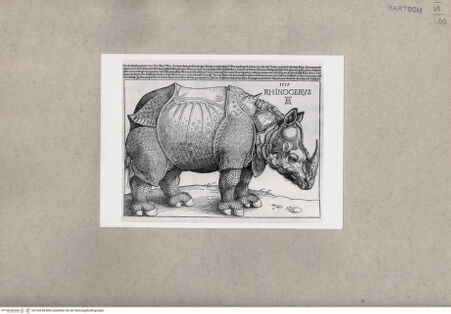 Vorderseite von  [http://creativecommons.org/publicdomain/mark/1.0/] Das Rhinozeros - , bh163238. Foto.