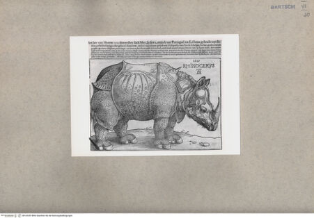 Vorderseite von  [http://creativecommons.org/publicdomain/mark/1.0/] Das Rhinozeros - , bh163239. Foto.