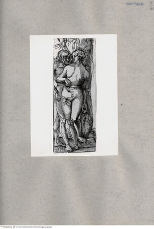 Vorderseite von  [http://creativecommons.org/publicdomain/mark/1.0/] Adam und Eva - , bh163465. Foto.