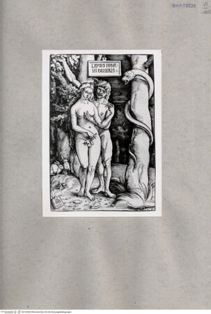 Vorderseite von  [http://creativecommons.org/publicdomain/mark/1.0/] Adam und Eva - , bh163466. Foto.