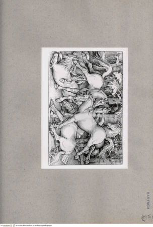 Vorderseite von  [http://creativecommons.org/publicdomain/mark/1.0/] ... - , bh163500. Foto.