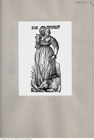 Vorderseite von  [http://creativecommons.org/publicdomain/mark/1.0/] ... - , bh163531. Foto.