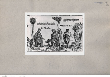 Vorderseite von  [http://creativecommons.org/publicdomain/mark/1.0/] ... - , bh163553. Foto.