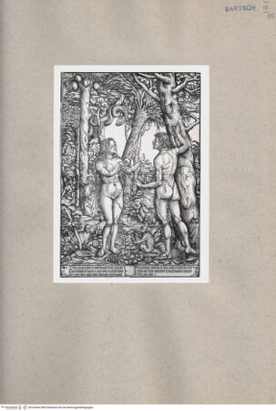 Vorderseite von  [http://creativecommons.org/publicdomain/mark/1.0/] ... - , bh163642. Foto.