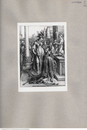 Vorderseite von  [http://creativecommons.org/publicdomain/mark/1.0/] ... - , bh163745. Foto.