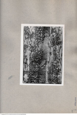 Vorderseite von  [http://creativecommons.org/publicdomain/mark/1.0/] ... - , bh163848. Foto.