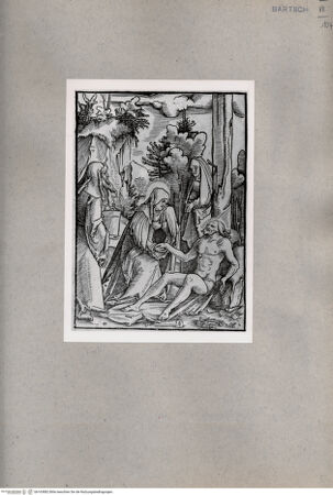 Vorderseite von  [http://creativecommons.org/publicdomain/mark/1.0/] ... - , bh163882. Foto.