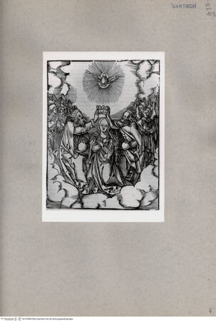 Vorderseite von  [http://creativecommons.org/publicdomain/mark/1.0/] ... - , bh163898. Foto.