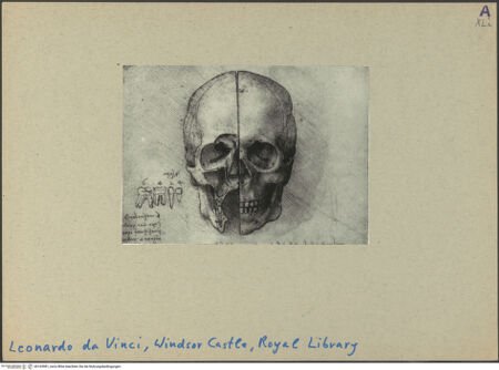 Vorderseite von bh163981_recto