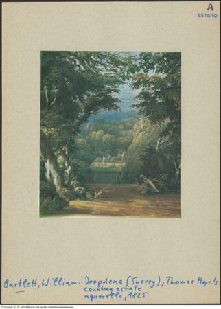 Vorderseite von bh163988_recto