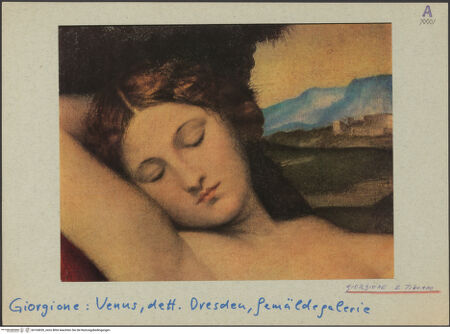 Vorderseite von bh164030_recto