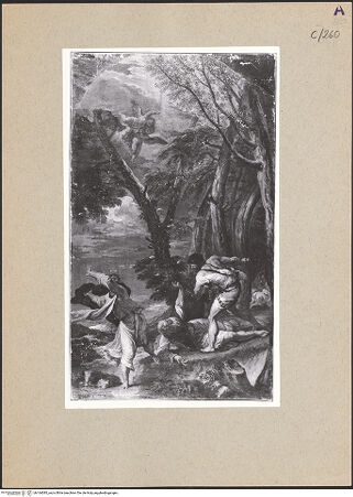 Vorderseite von bh164085_recto