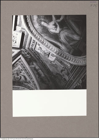 Vorderseite von bh164119_recto