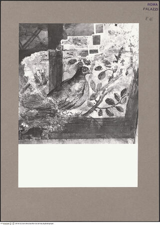 Vorderseite von bh164120_recto