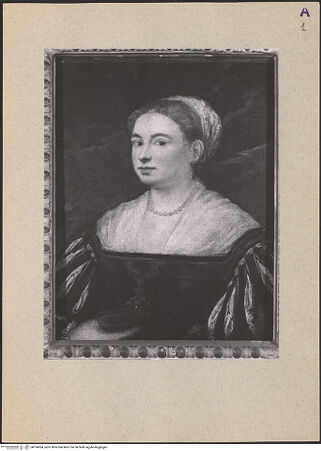 Vorderseite von bh164264_recto