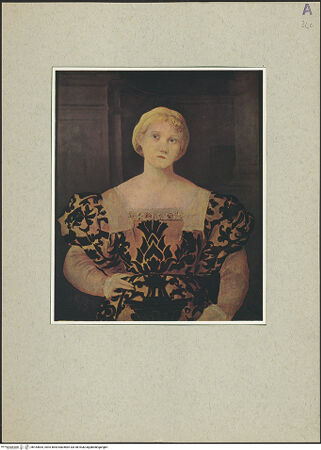 Vorderseite von bh164835_recto