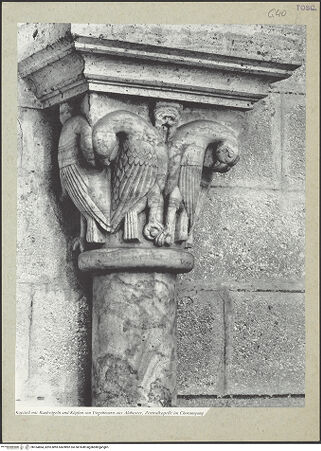 Vorderseite von bh164864_recto