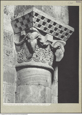 Vorderseite von bh164865_recto