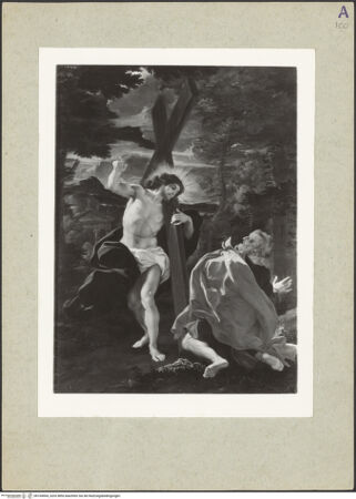 Vorderseite von bh164904_recto