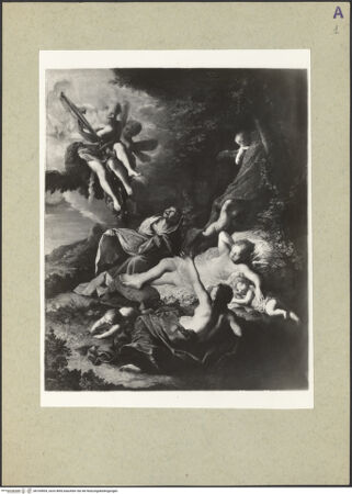 Vorderseite von bh164909_recto