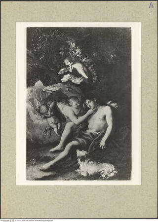 Vorderseite von bh164910_recto