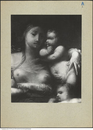 Vorderseite von bh164914_recto