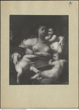 Vorderseite von bh164915_recto