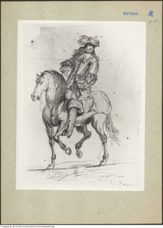 Vorderseite von bh164981_recto