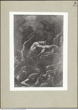 Vorderseite von bh165001_recto