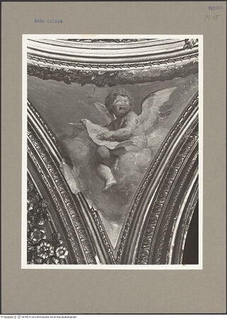 Vorderseite von bh165213_recto