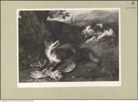 Vorderseite von bh165454_recto