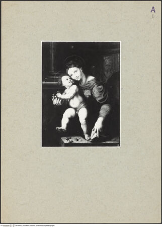 Vorderseite von bh165492_recto