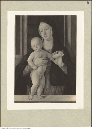 Vorderseite von bh165539_recto