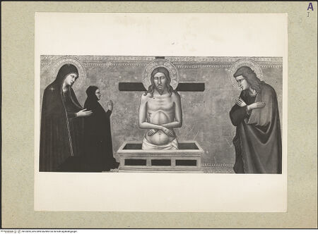 Vorderseite von bh165595_recto