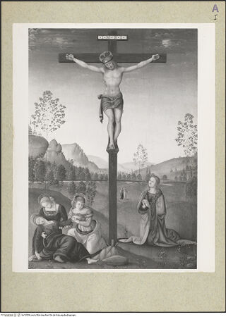 Vorderseite von bh165596_recto