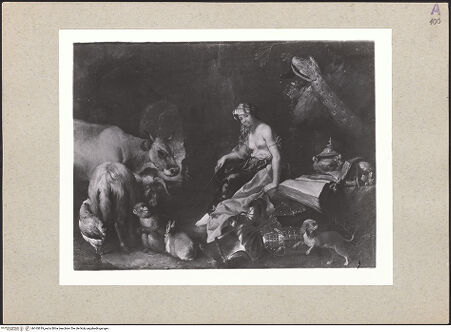 Vorderseite von bh165619_recto