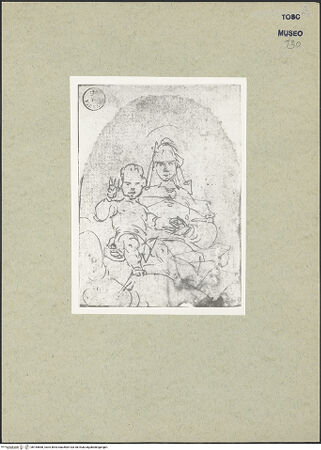 Vorderseite von bh165668_recto