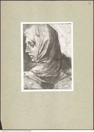 Vorderseite von bh165767_recto