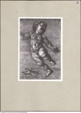 Vorderseite von bh165905_recto