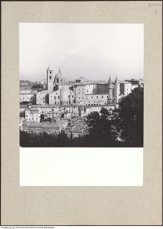 Vorderseite von bh166128_recto