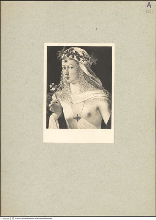 Vorderseite von bh166391_recto