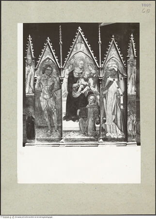 Vorderseite von bh166484_recto