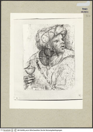 Vorderseite von bh166486_recto