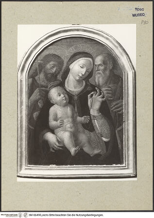 Vorderseite von bh166490_recto