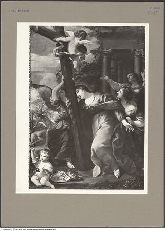 Vorderseite von bh166531_recto