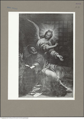 Vorderseite von bh166620_recto