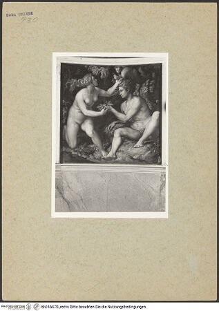 Vorderseite von ICCD [https://www.deutsche-digitale-bibliothek.de/content/lizenzen/rv-ez/] Szenen aus der GenesisSündenfall - , bh166670_recto. Foto.