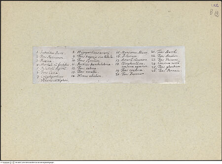 Vorderseite von bh166897_recto