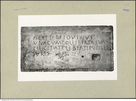 Vorderseite von ICCD [https://www.deutsche-digitale-bibliothek.de/content/lizenzen/rv-ez/] Inschrift (ICUR, NS, 1, 1032) - Gesamtansicht, bh166904_recto. Foto.